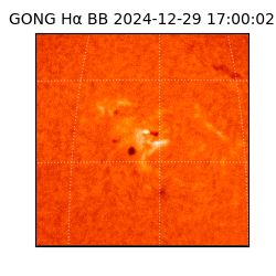 gong - 2024-12-29T17:00:02