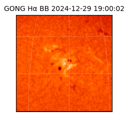 gong - 2024-12-29T19:00:02