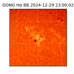 gong - 2024-12-29T23:00:02