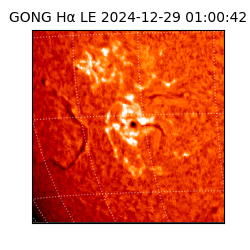 gong - 2024-12-29T01:00:42