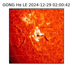 gong - 2024-12-29T02:00:42