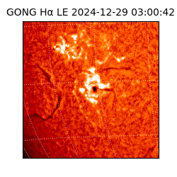 gong - 2024-12-29T03:00:42