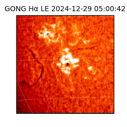 gong - 2024-12-29T05:00:42