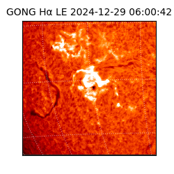 gong - 2024-12-29T06:00:42