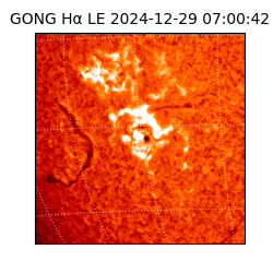 gong - 2024-12-29T07:00:42