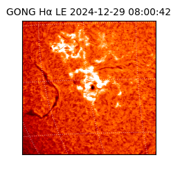 gong - 2024-12-29T08:00:42