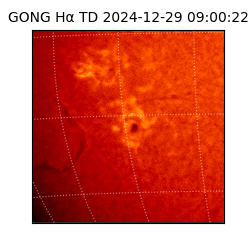 gong - 2024-12-29T09:00:22