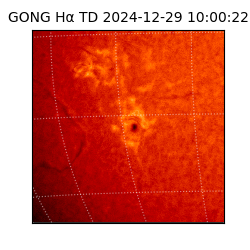 gong - 2024-12-29T10:00:22