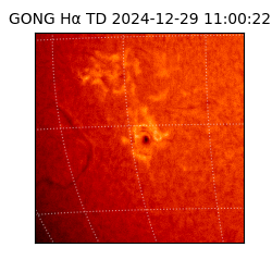 gong - 2024-12-29T11:00:22