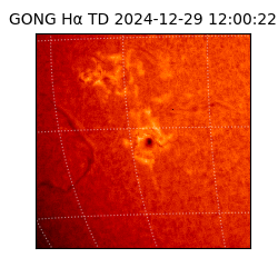 gong - 2024-12-29T12:00:22