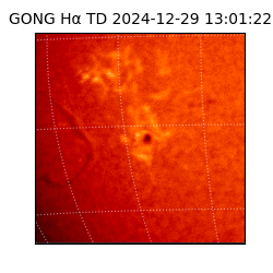 gong - 2024-12-29T13:01:22