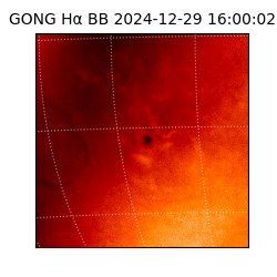 gong - 2024-12-29T16:00:02