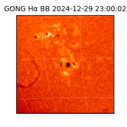 gong - 2024-12-29T23:00:02