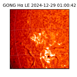 gong - 2024-12-29T01:00:42