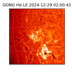 gong - 2024-12-29T02:00:42