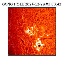 gong - 2024-12-29T03:00:42