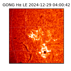 gong - 2024-12-29T04:00:42