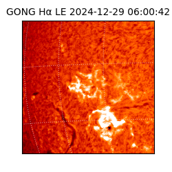 gong - 2024-12-29T06:00:42