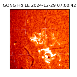 gong - 2024-12-29T07:00:42