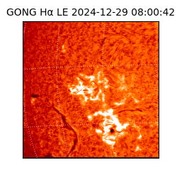 gong - 2024-12-29T08:00:42