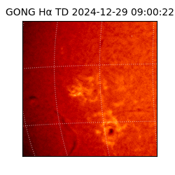 gong - 2024-12-29T09:00:22