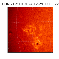 gong - 2024-12-29T12:00:22