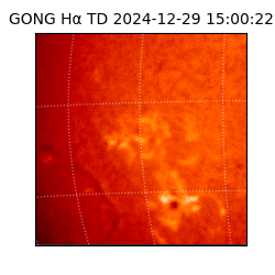 gong - 2024-12-29T15:00:22