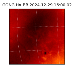 gong - 2024-12-29T16:00:02