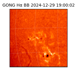 gong - 2024-12-29T19:00:02