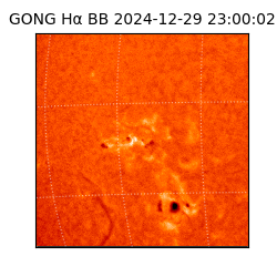 gong - 2024-12-29T23:00:02