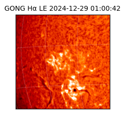 gong - 2024-12-29T01:00:42