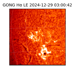 gong - 2024-12-29T03:00:42