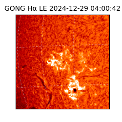 gong - 2024-12-29T04:00:42