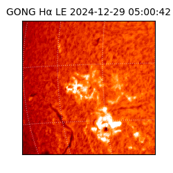 gong - 2024-12-29T05:00:42