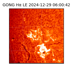 gong - 2024-12-29T06:00:42