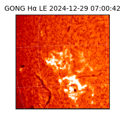 gong - 2024-12-29T07:00:42