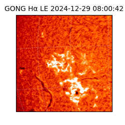 gong - 2024-12-29T08:00:42