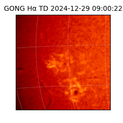 gong - 2024-12-29T09:00:22