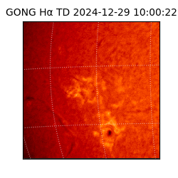 gong - 2024-12-29T10:00:22