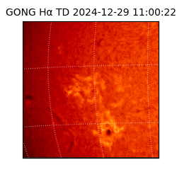 gong - 2024-12-29T11:00:22