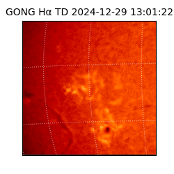 gong - 2024-12-29T13:01:22