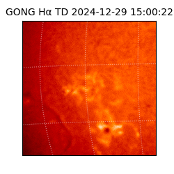 gong - 2024-12-29T15:00:22