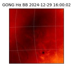 gong - 2024-12-29T16:00:02