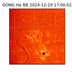 gong - 2024-12-29T17:00:02