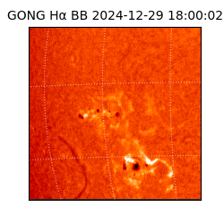 gong - 2024-12-29T18:00:02