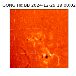 gong - 2024-12-29T19:00:02