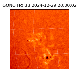 gong - 2024-12-29T20:00:02