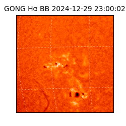 gong - 2024-12-29T23:00:02