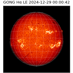 gong - 2024-12-29T00:00:42