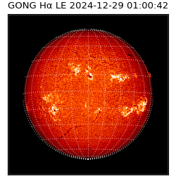 gong - 2024-12-29T01:00:42